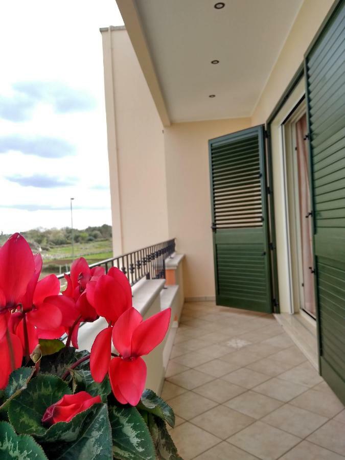 B&B Il Papavero Rosso Corigliano dʼOtranto エクステリア 写真